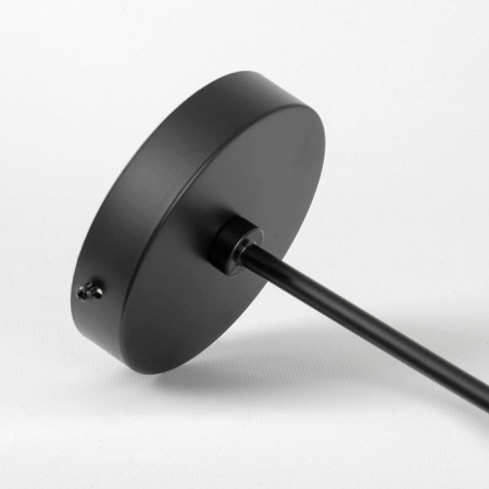 Фото Люстра на штанге Lussole LSP-891 LSP-8913