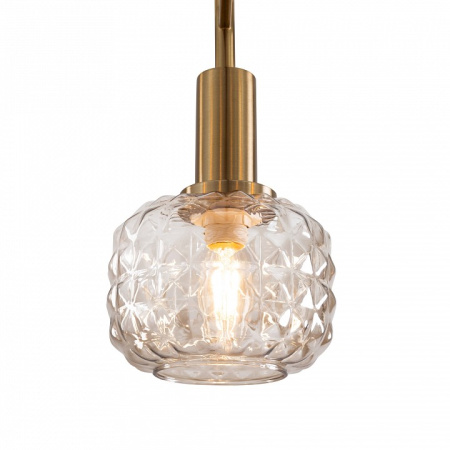 Фото Люстра на штанге Freya Fero FR5366CL-05BS