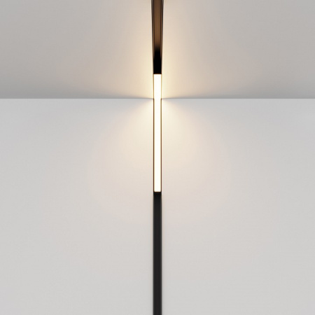 Фото Встраиваемый светильник Maytoni Basis TR102-24W3K-B