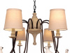Открыть Подвесная люстра Loft it Birds LOFT1029A-8 Фото Подвесная люстра Loft it Birds LOFT1029A-8