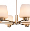 Открыть Подвесная люстра Indigo Tulip 13004/6P Gold Фото Подвесная люстра Indigo Tulip 13004/6P Gold