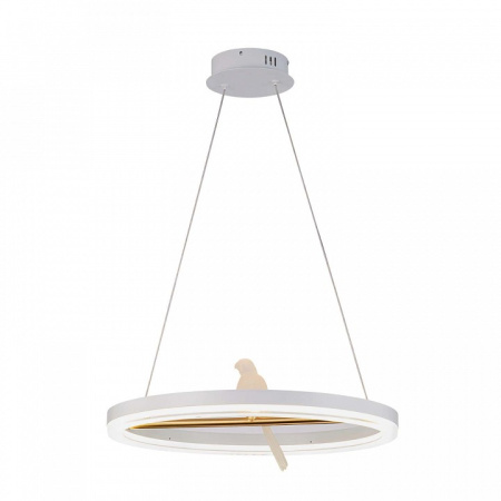 Фото Подвесной светильник F-promo Bardy 4653-1P