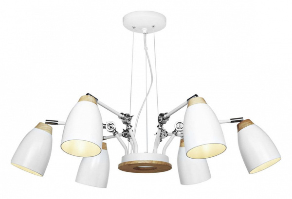 Фото Подвесная люстра Loft it Watchman LOFT4402/6WH