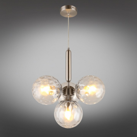 Фото Подвесная люстра Aployt Lora APL.728.16.04