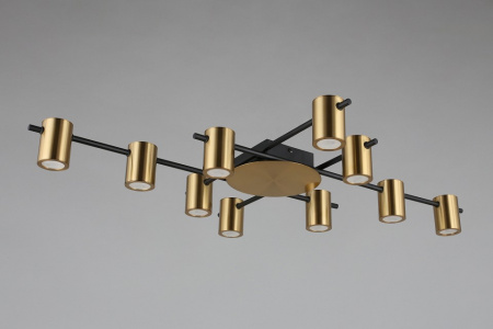 Фото Потолочная люстра Aployt Elwisia APL.633.07.10