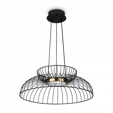 Фото Подвесной светильник Freya Citrus FR5398PL-L6B