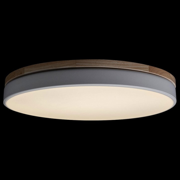 Фото Накладной светильник Loft it Axel 10001/36 White
