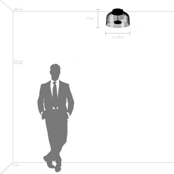 Фото Накладной светильник Lightstar Celesta 809062