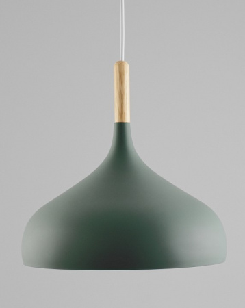 Фото Подвесной светильник Moderli Eline V1296-1P