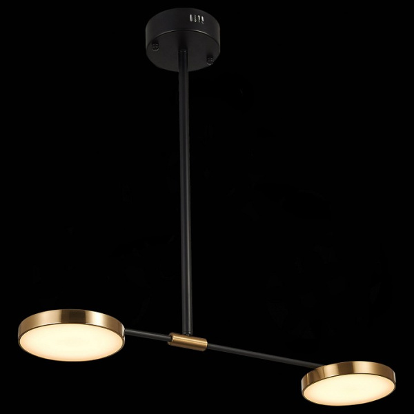 Открыть Светильник на штанге ST-Luce Farone SL1605.403.02 Фото Светильник на штанге ST-Luce Farone SL1605.403.02