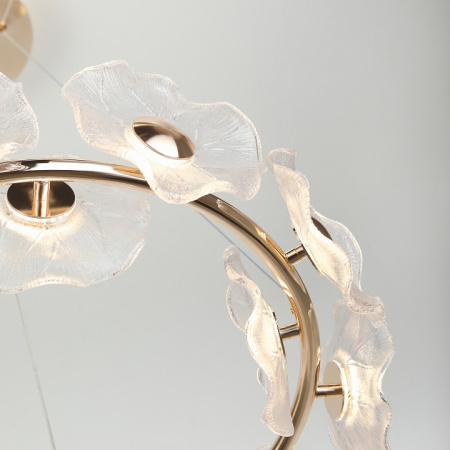 Фото Подвесная люстра Rivoli Shannon Б0061947