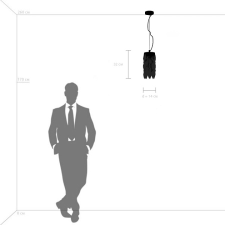 Фото Подвесная люстра Lightstar Limpio 722033