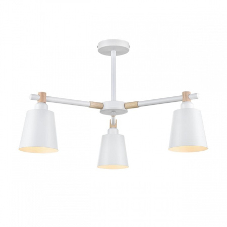 Фото Люстра на штанге Lumion Rosalina 8097/3C