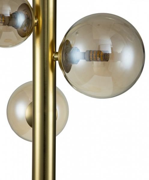 Фото Настольная лампа декоративная Indigo Canto 11026/4T Gold