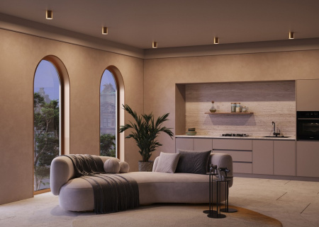 Фото Накладной светильник Maytoni Spark C094-GU10-MG