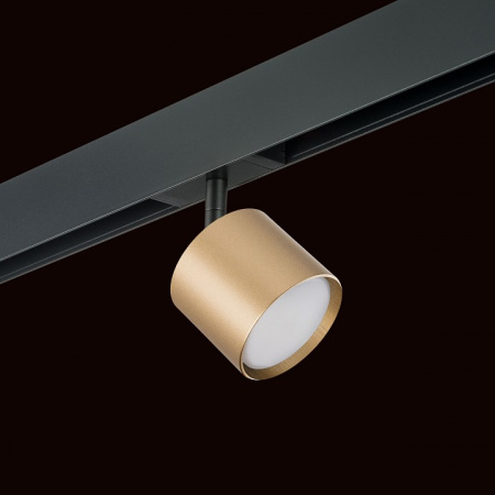 Фото Светильник на штанге Lightstar Rullo PRO3490