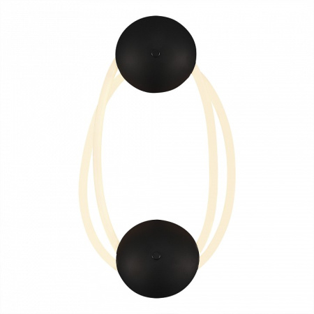 Фото Накладной светильник ST-Luce Sagrato SL6102.421.30