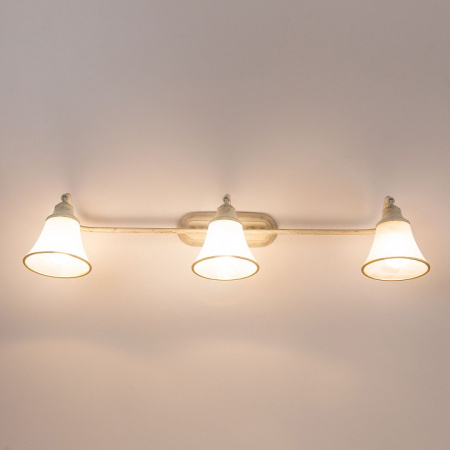 Фото Спот Citilux Прованс CL511534