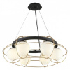 Фото Подвесная люстра Aployt Mahot APL.317.03.06