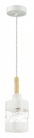 Фото Подвесной светильник Lumion Bonnie 4491/1