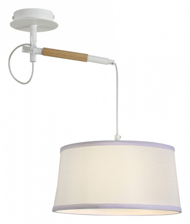 Фото Светильник на штанге F-promo Eureka 3005-1P