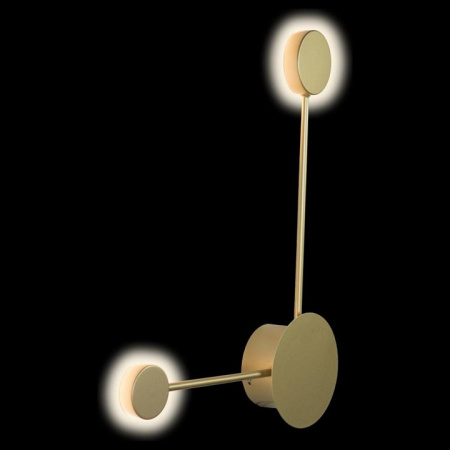 Фото Накладной светильник Loft it Rays 10057GD