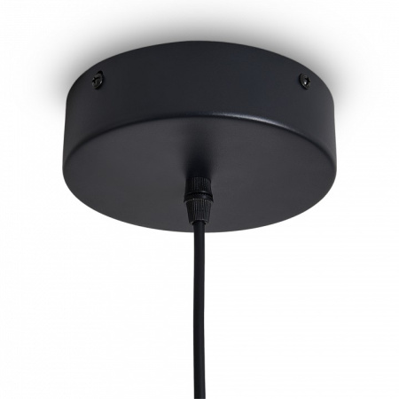 Фото Подвесной светильник Freya ИСТИНА FR6181PL-L9B