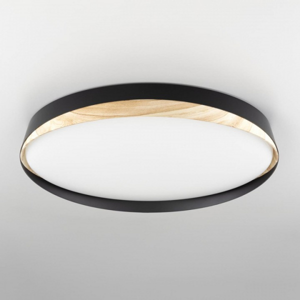 Фото Накладной светильник Citilux BONNY CL754451G