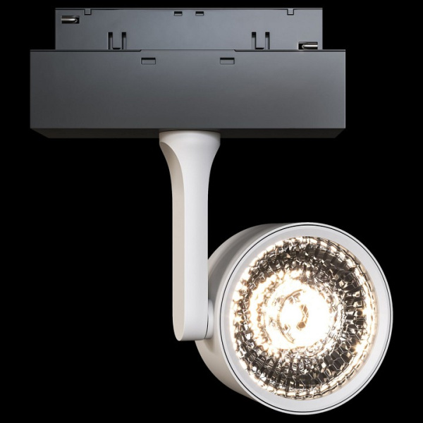 Фото Светильник на штанге Maytoni Track lamps 3 TR024-2-10W4K