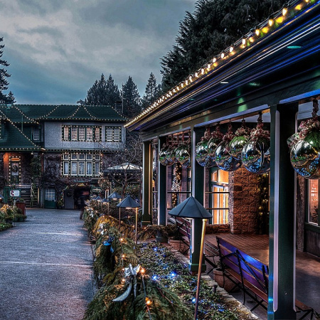 Фото Гирлянда Супернить Feron CL25-100 48167