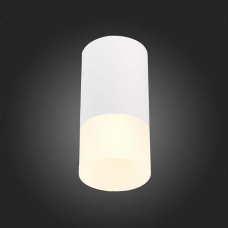 Фото Накладной светильник ST-Luce ST100 ST100.512.01