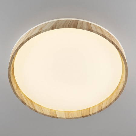 Фото Накладной светильник Citilux ENZO CL753452G