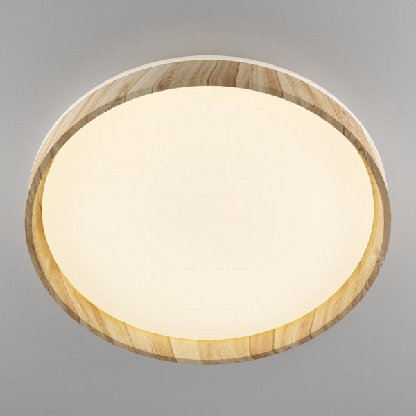 Фото Накладной светильник Citilux ENZO CL753452G