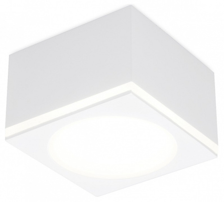 Фото Накладной светильник Ambrella Light TN TN266