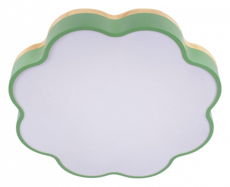 Фото Накладной светильник Loft it Axel 10225/36 Green