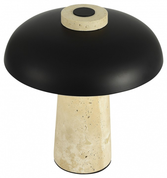 Фото Настольная лампа декоративная ST-Luce Earthy SL1194.424.01