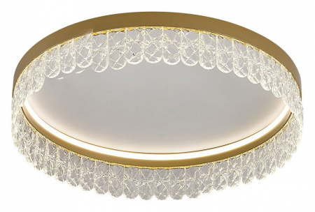 Фото Накладной светильник F-promo Lunetta 4186-1C