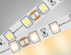 Лента светодиодная Ambrella Light GS GS2001 Лента светодиодная Ambrella Light GS GS2001