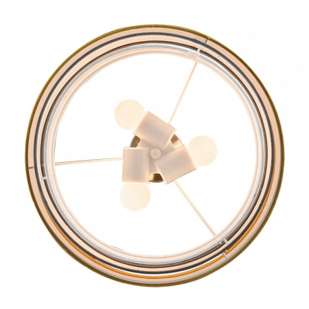 Фото Подвесной светильник Lumion Ilaida 8038/3