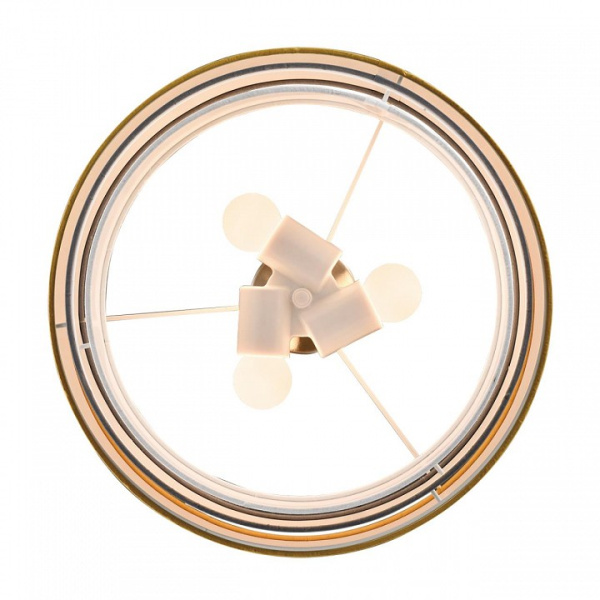 Фото Подвесной светильник Lumion Ilaida 8038/3