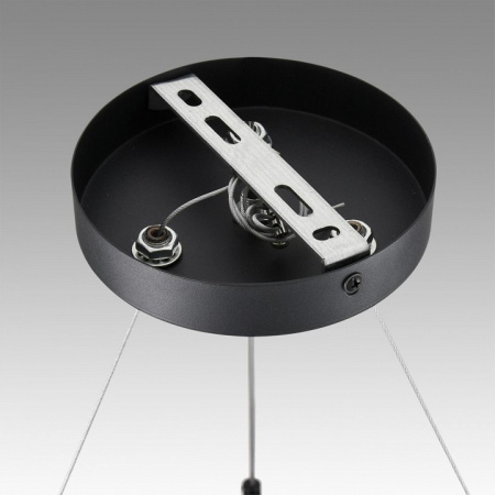 Фото Подвесная люстра Lumion Luazana 8242/9