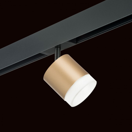 Фото Светильник на штанге Lightstar Rullo PRO349080