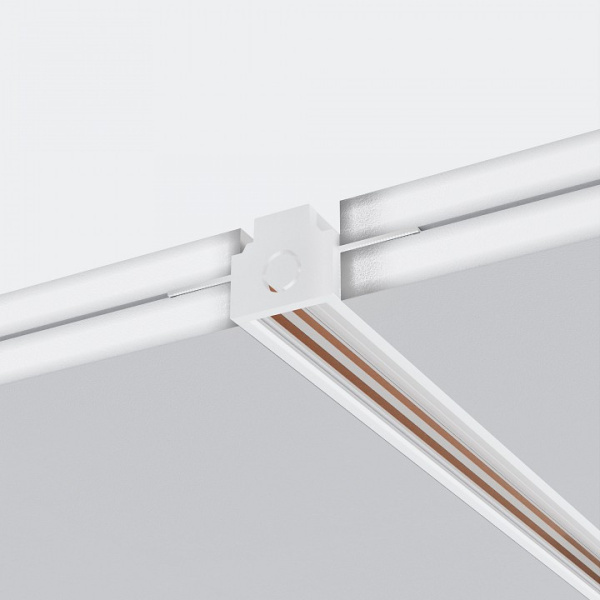Фото Заглушка для трека Maytoni Accessories for tracks Exility TRAM034EC-42W