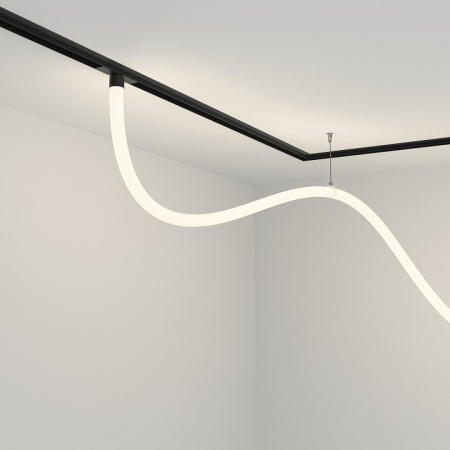 Фото Подвесной светильник Maytoni Tau TR101-2-50W4K-B