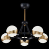 Фото Люстра на штанге Freya Silvia FR5009PL-05B