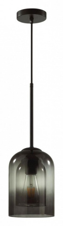 Фото Подвесной светильник Lumion Boris 5281/1