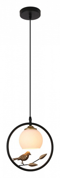 Открыть Подвесной светильник Escada Song 1113/1S Black Фото Подвесной светильник Escada Song 1113/1S Black