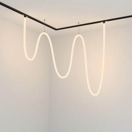 Фото Подвесной светильник Maytoni Tau TR101-2-100W3K-B