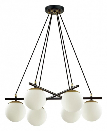 Фото Подвесная люстра Lumion Randi 5212/6