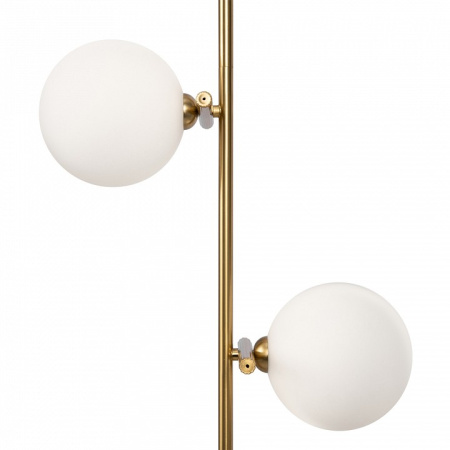 Фото Светильник на штанге Freya Blossom FR5259PL-02BS